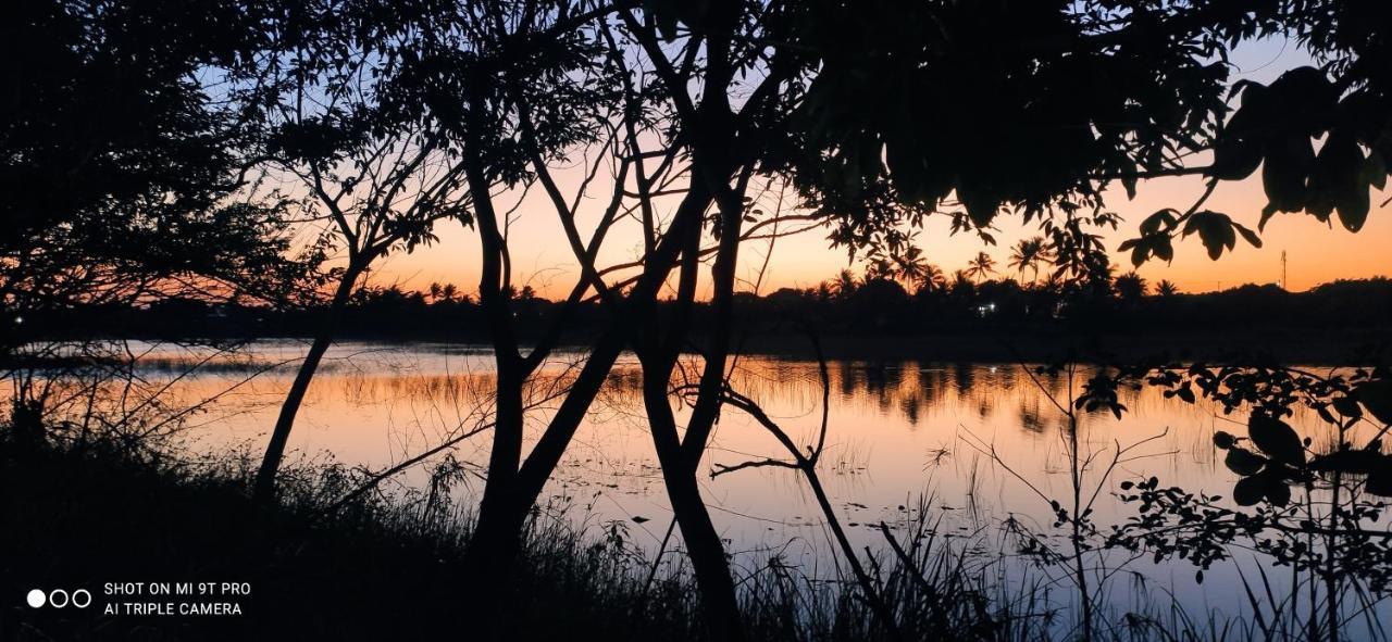 CamaçariPe Na Areia Itacimirim别墅 外观 照片
